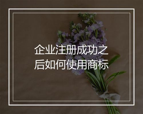 企业注册成功之后如何使用商标