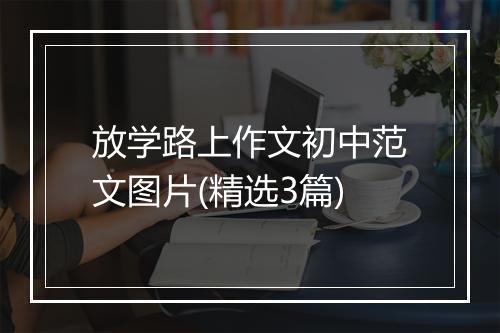 放学路上作文初中范文图片(精选3篇)