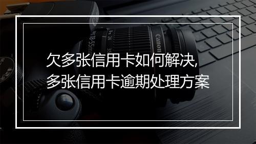 欠多张信用卡如何解决,多张信用卡逾期处理方案