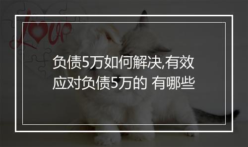 负债5万如何解决,有效应对负债5万的 有哪些