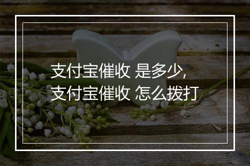 支付宝催收 是多少,支付宝催收 怎么拨打