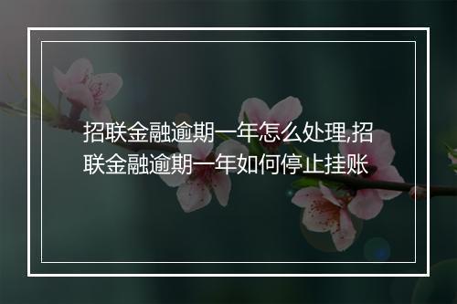 招联金融逾期一年怎么处理,招联金融逾期一年如何停止挂账