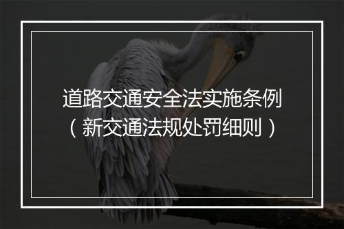 道路交通安全法实施条例（新交通法规处罚细则）