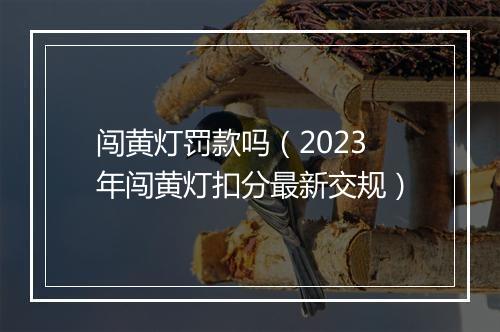 闯黄灯罚款吗（2023年闯黄灯扣分最新交规）