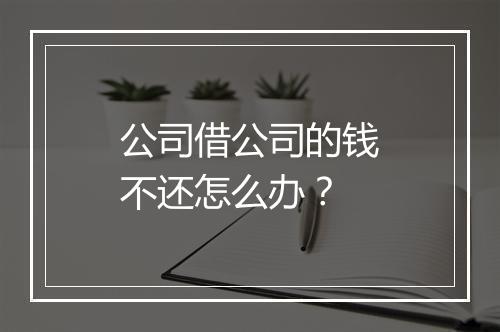 公司借公司的钱不还怎么办？