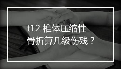 t12 椎体压缩性骨折算几级伤残？