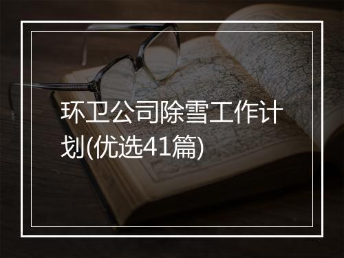 环卫公司除雪工作计划(优选41篇)