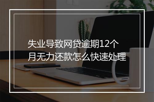 失业导致网贷逾期12个月无力还款怎么快速处理