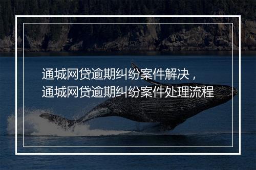 通城网贷逾期纠纷案件解决 ,通城网贷逾期纠纷案件处理流程