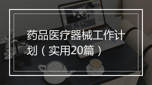 药品医疗器械工作计划（实用20篇）