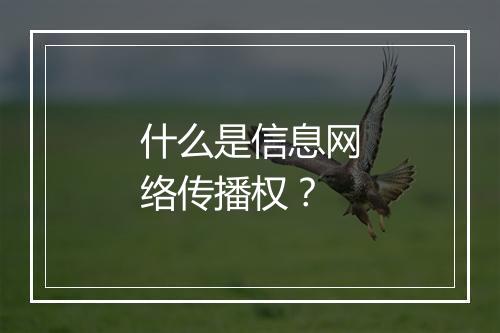 什么是信息网络传播权？
