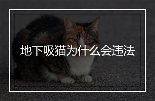 地下吸猫为什么会违法