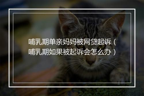 哺乳期单亲妈妈被网贷起诉（哺乳期如果被起诉会怎么办）