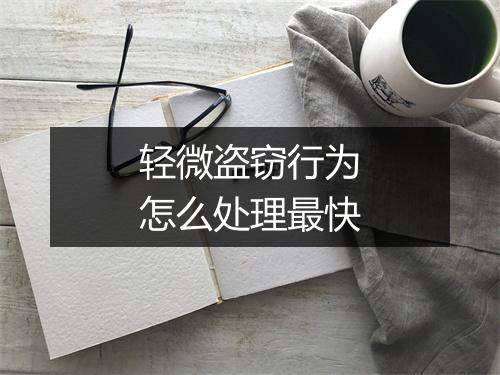 轻微盗窃行为怎么处理最快