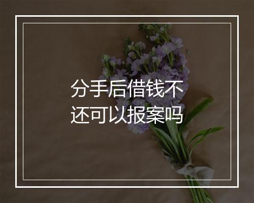 分手后借钱不还可以报案吗