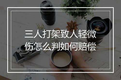 三人打架致人轻微伤怎么判如何赔偿
