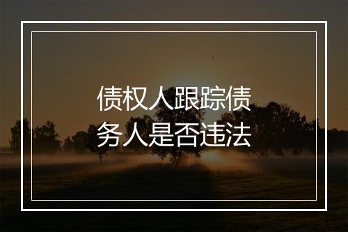 债权人跟踪债务人是否违法