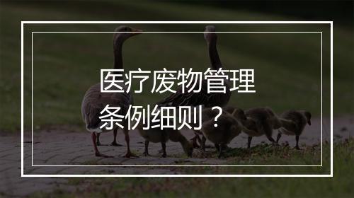 医疗废物管理条例细则？