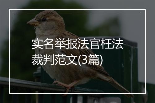 实名举报法官枉法裁判范文(3篇)
