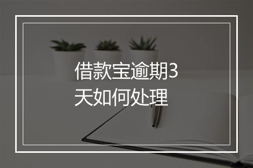 借款宝逾期3天如何处理