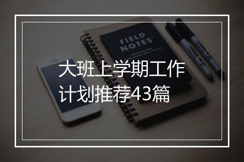 大班上学期工作计划推荐43篇