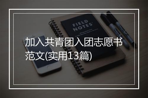 加入共青团入团志愿书范文(实用13篇)