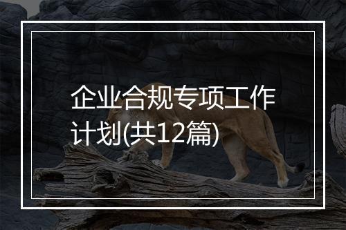 企业合规专项工作计划(共12篇)