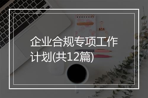 企业合规专项工作计划(共12篇)