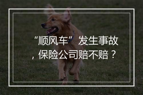 “顺风车”发生事故，保险公司赔不赔？