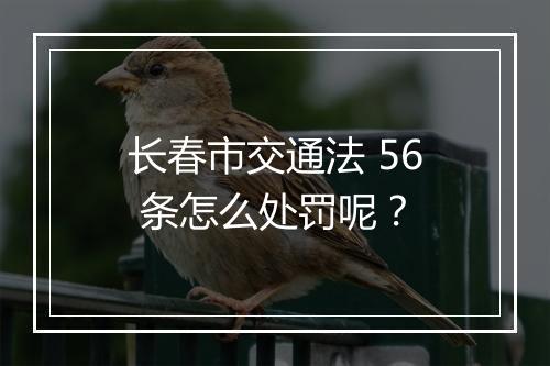 长春市交通法 56 条怎么处罚呢？