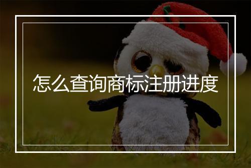 怎么查询商标注册进度
