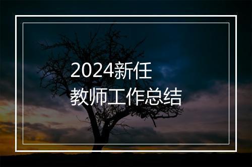 2024新任教师工作总结