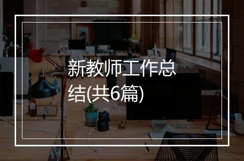 新教师工作总结(共6篇)