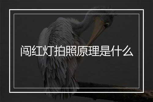 闯红灯拍照原理是什么