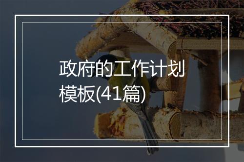 政府的工作计划模板(41篇)