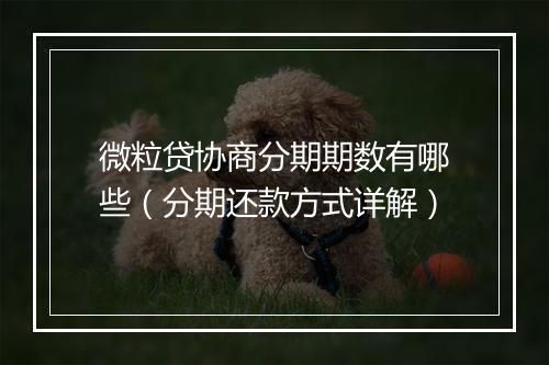 微粒贷协商分期期数有哪些（分期还款方式详解）