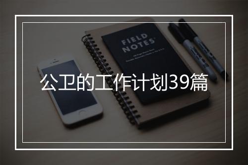 公卫的工作计划39篇