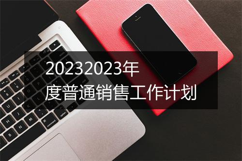 20232023年度普通销售工作计划