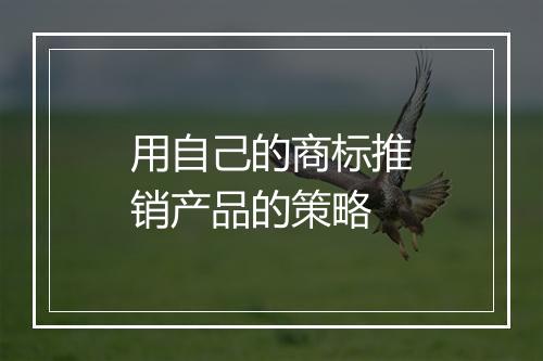 用自己的商标推销产品的策略