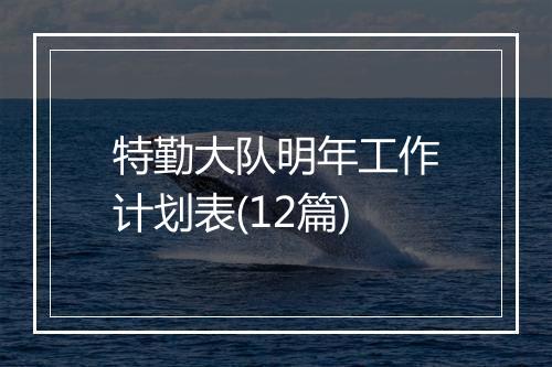 特勤大队明年工作计划表(12篇)