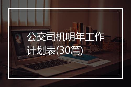 公交司机明年工作计划表(30篇)