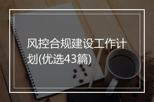 风控合规建设工作计划(优选43篇)