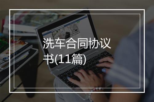 洗车合同协议书(11篇)