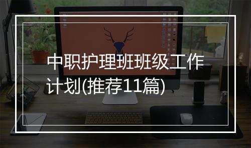 中职护理班班级工作计划(推荐11篇)