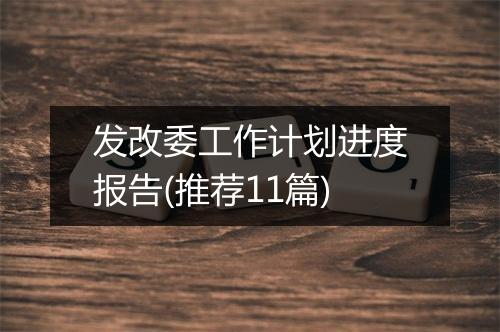 发改委工作计划进度报告(推荐11篇)