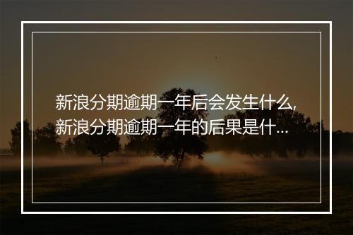 新浪分期逾期一年后会发生什么,新浪分期逾期一年的后果是什么