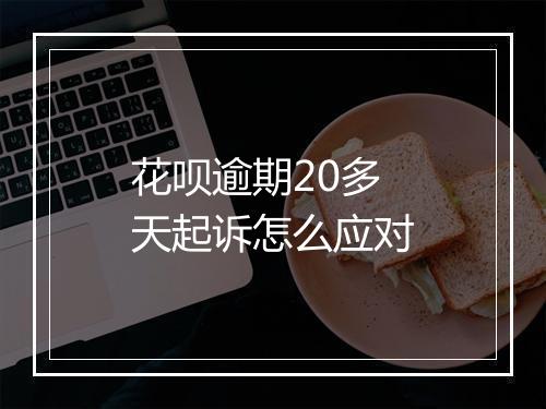 花呗逾期20多天起诉怎么应对