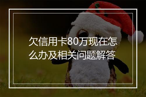 欠信用卡80万现在怎么办及相关问题解答