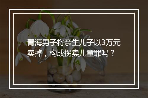 青海男子将亲生儿子以3万元卖掉，构成拐卖儿童罪吗？