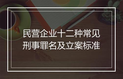 民营企业十二种常见刑事罪名及立案标准